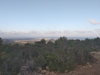IMG_20260618_062038.jpg