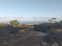 IMG_20260618_063419.jpg