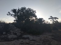 IMG_20260618_063434.jpg