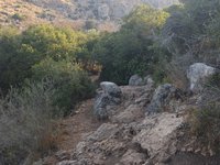 IMG_20260618_071026.jpg