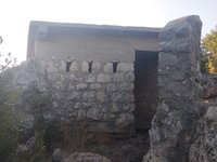 IMG_20260618_071207.jpg