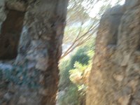 IMG_20260618_071240.jpg