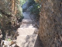 IMG_20260618_071246.jpg