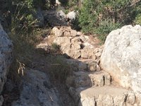 IMG_20260618_071434.jpg
