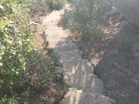 IMG_20260618_071439.jpg