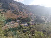 IMG_20260618_071514.jpg