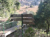 IMG_20260618_071938.jpg