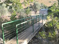 IMG_20260618_071946.jpg