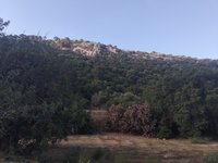 IMG_20260618_074356.jpg