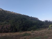 IMG_20260618_074359.jpg