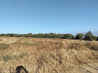 IMG_20260525_070631.jpg