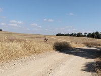 IMG_20260525_094502.jpg