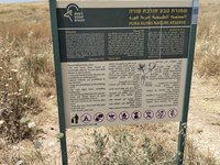 IMG_20260525_133038.jpg