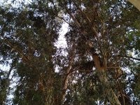IMG_20260525_195033.jpg