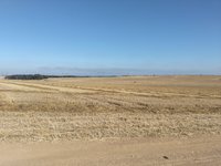 IMG_20260526_080119.jpg