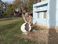 IMG_20260313_071216.jpg