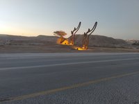 IMG_20260412_060546.jpg