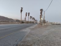 IMG_20260412_060550.jpg