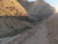 IMG_20260412_064729.jpg