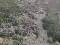 IMG_20260412_065027.jpg