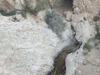 IMG_20260412_065307.jpg