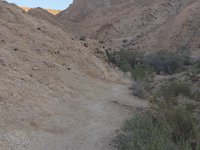 IMG_20260412_065523.jpg