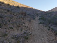 IMG_20260412_074902.jpg