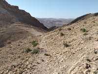 IMG_20260412_083818.jpg