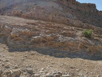 IMG_20260412_084011.jpg