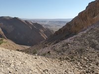 IMG_20260412_084056.jpg