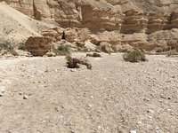IMG_20260412_112238.jpg