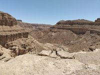 IMG_20260412_115534.jpg