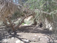 IMG_20260412_134036.jpg