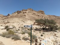 IMG_20260412_134224.jpg
