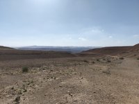 IMG_20260412_163631.jpg