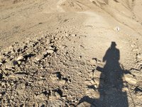 IMG_20260412_174458.jpg