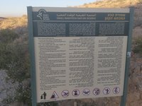 IMG_20260412_183025.jpg