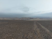IMG_20260409_062213.jpg