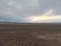 IMG_20260409_063646.jpg