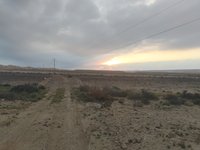 IMG_20260409_063914.jpg