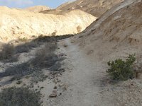 IMG_20260409_075722.jpg
