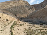 IMG_20260409_080216.jpg