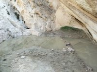 IMG_20260409_081520.jpg