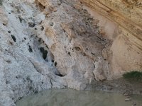IMG_20260409_081528.jpg