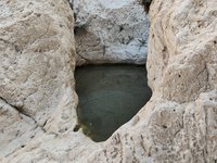 IMG_20260409_081640.jpg