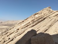 IMG_20260409_091417.jpg