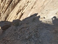 IMG_20260409_092112.jpg