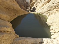IMG_20260409_092715.jpg