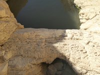IMG_20260409_092719.jpg