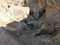 IMG_20260409_093008.jpg